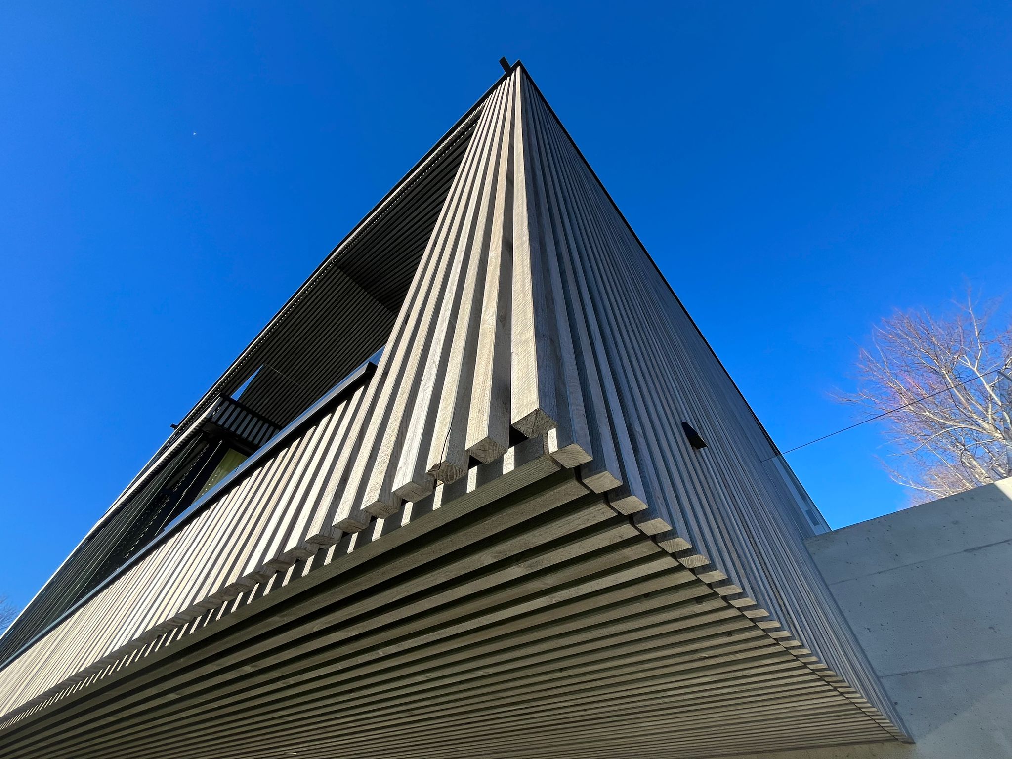 WhatsApp Bild 2024-11-30 um 00.07.39_d9b42887