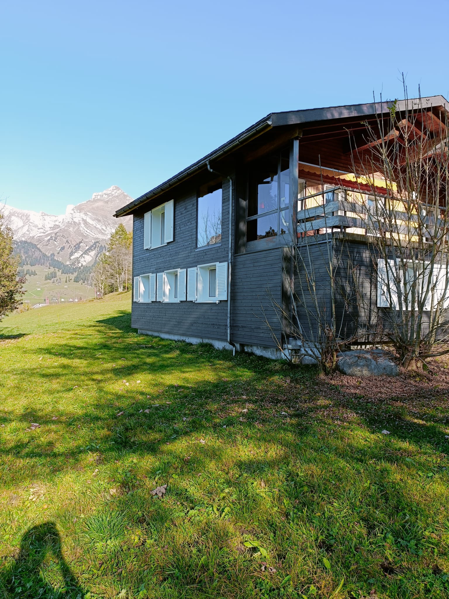 WhatsApp Bild 2024-12-03 um 08.47.55_a0ccb27e